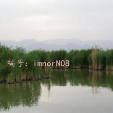û