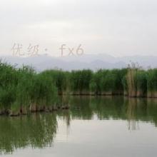 û
