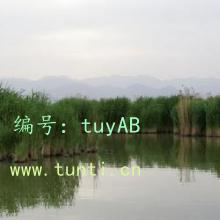û