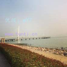 ѧ