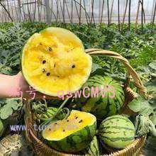 ļ