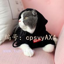 ѧ