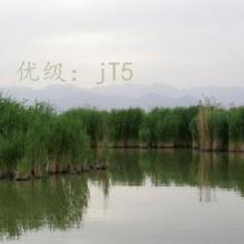 û