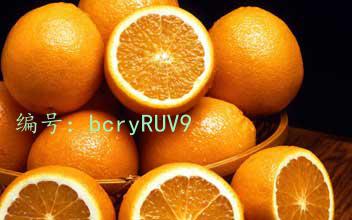 ģ