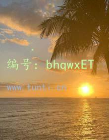 λ