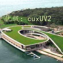 ת