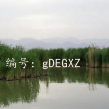 ѧ