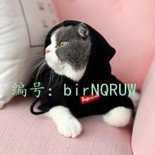 ѧ