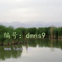 û