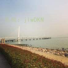 ʽ