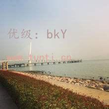 ˲