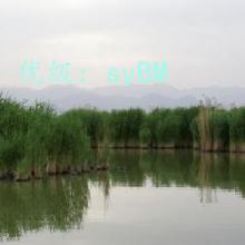 ѧ
