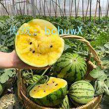 ļ