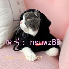 ѧ