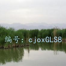 ѧ