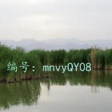 û