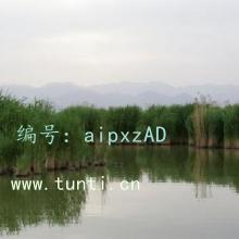 û