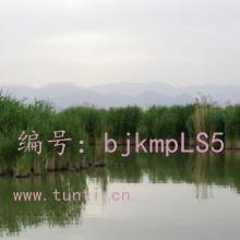 û
