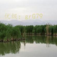 û